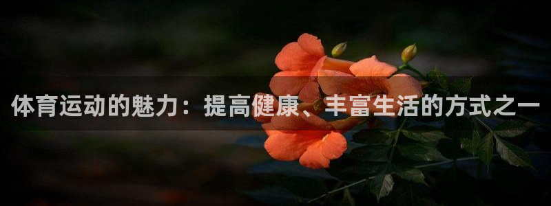 k1体育十年品牌