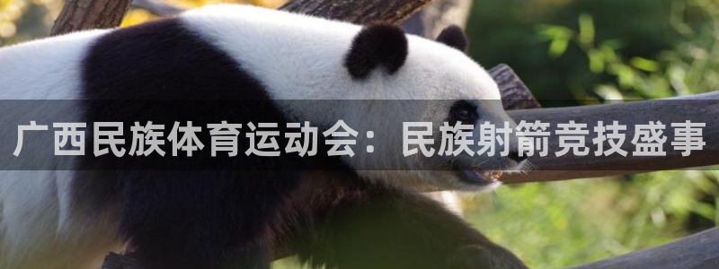 k1体育十年品牌