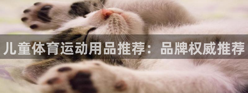 k1体育网站登录官网：儿童体育运动用品推荐：品牌权威推荐
