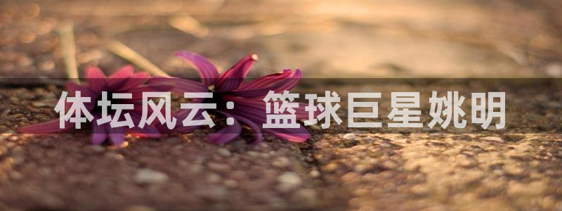帮k1体育在线登录：体坛风云：篮球巨星姚明