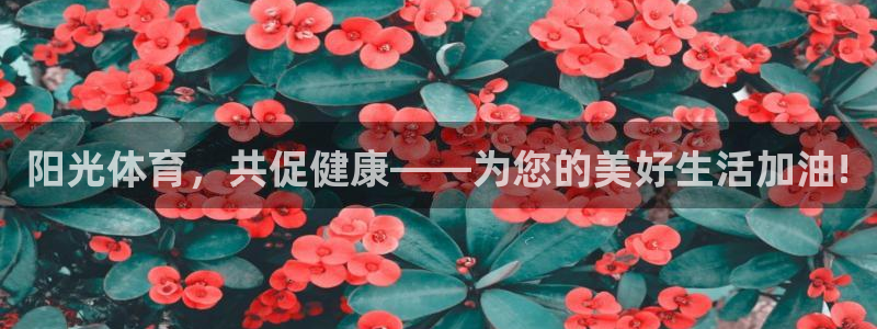k1体育下载链接