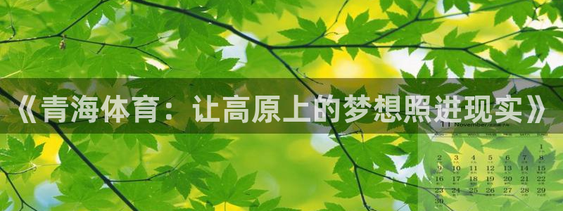 k1体育网址是多少：《青海体育：让高原上的梦想照进现实》