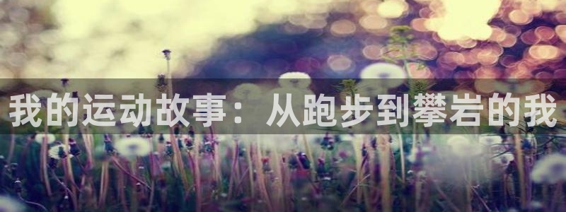 k1体育app下载链接：我的运动故事：从跑步到攀岩的我