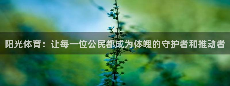 k1体育平台下载