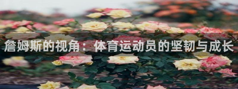 k1体育链接