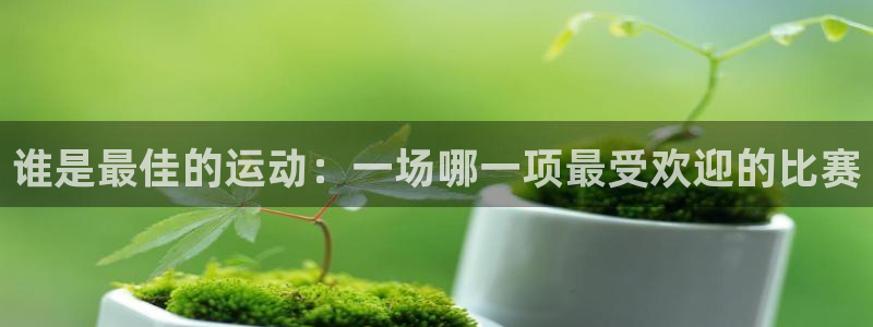 k1体育十年品牌：谁是最佳的运动：一场哪一项最受欢迎的比赛