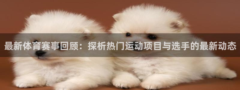 k1体育十年平台：最新体育赛事回顾：探析热门运动项目与选手的最新动态